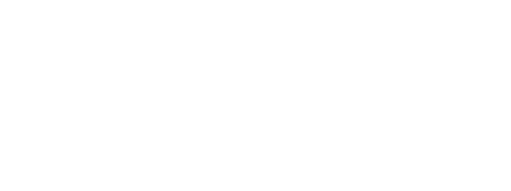 Scruples S.E.E.